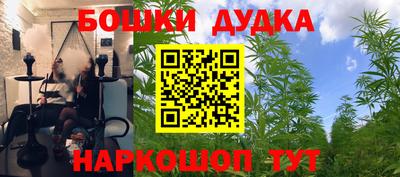 стафф Бугуруслан