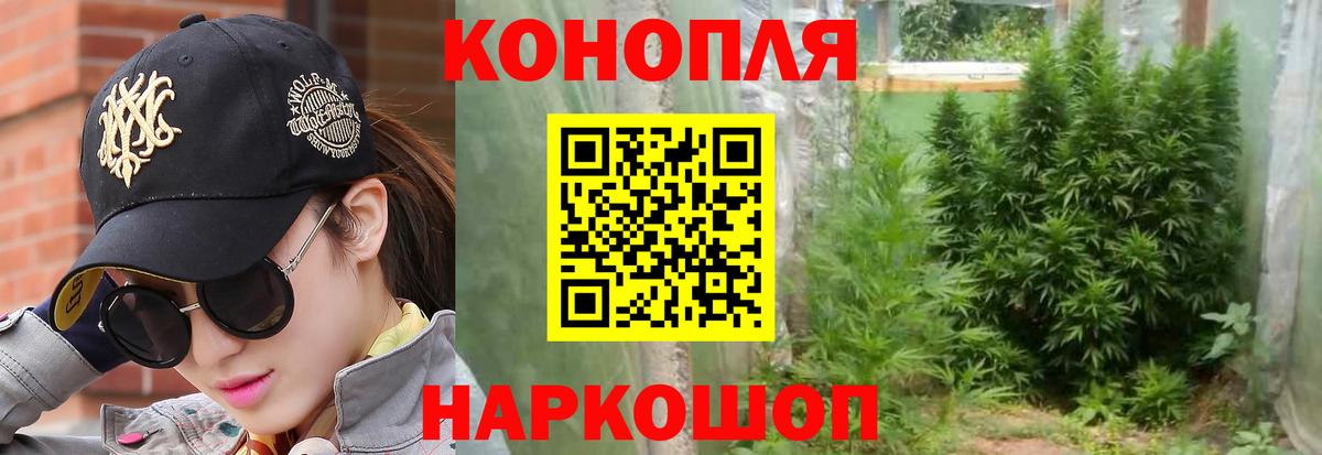 Конопля Bruce Banner  Шишки марихуана тримм  Марихуана индика  Вход с VPN  Прохладный 